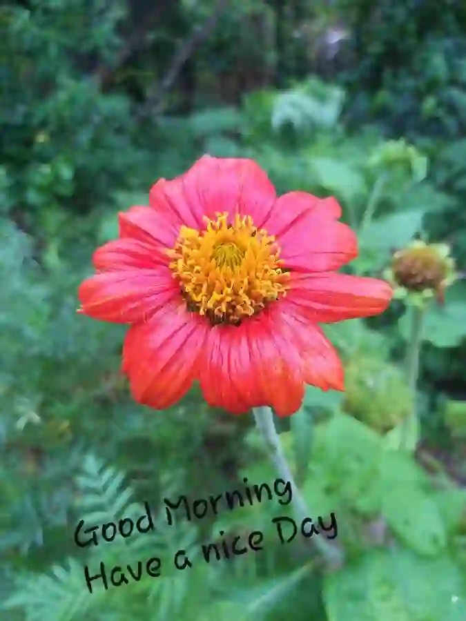 Good Morning whatsapp messages of Every morning reminds me Of how lucky I am to have Someone special...